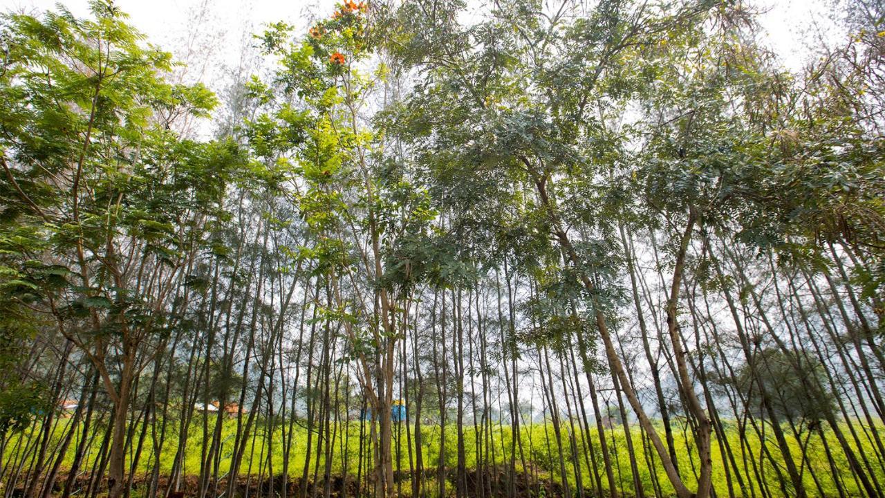Aara Jungle Resort Coimbatore Zewnętrze zdjęcie